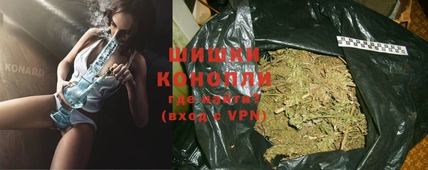 молекула духа Заволжье